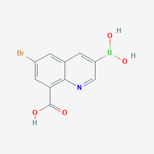 molecular formula C10H7BBrNO4 B8119078 6-Bromo-8-carboxyquinoline-3-boronic acid 