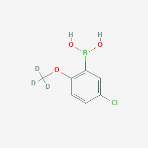 molecular formula C7H8BClO3 B8119106 [5-Chloro-2-(trideuteriomethoxy)phenyl]boronic acid 