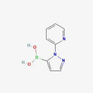 molecular formula C8H8BN3O2 B8119248 (2-Pyridin-2-ylpyrazol-3-yl)boronic acid 