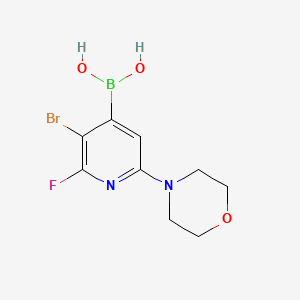 molecular formula C9H11BBrFN2O3 B8119255 (3-Bromo-2-fluoro-6-morpholin-4-ylpyridin-4-yl)boronic acid 