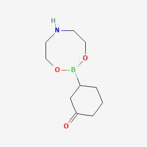 molecular formula C10H18BNO3 B8119268 3-(1,3,6,2-Dioxazaborocan-2-yl)cyclohexan-1-one 