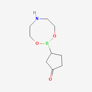 3-(1,3,6,2-Dioxazaborocan-2-yl)cyclopentan-1-one