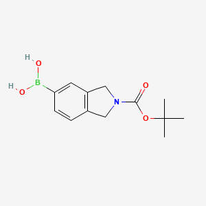 molecular formula C13H18BNO4 B8119373 N-BOC-1H-Isoindoline-5-boronic acid 