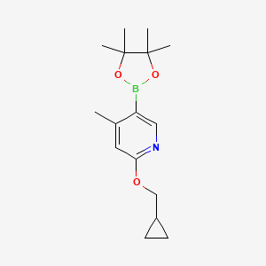 molecular formula C16H24BNO3 B8119423 2-Cyclopropylmethoxy-4-methyl-5-(4,4,5,5-tetramethyl-[1,3,2]dioxaborolan-2-yl)-pyridine 