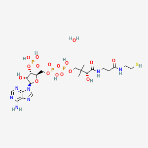 molecular formula C21H38N7O17P3S B8119466 Coenzyme A hydrate 