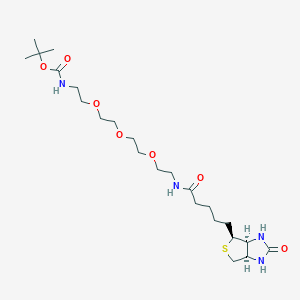 Biotin-PEG3-NHBoc