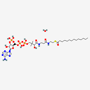 molecular formula C35H64N7O18P3S B8119825 S-[2-[3-[[4-[[[(2R,3S,4R,5R)-5-(6-aminopurin-9-yl)-4-hydroxy-3-phosphonooxyoxolan-2-yl]methoxy-hydroxyphosphoryl]oxy-hydroxyphosphoryl]oxy-2-hydroxy-3,3-dimethylbutanoyl]amino]propanoylamino]ethyl] tetradecanethioate;hydrate 