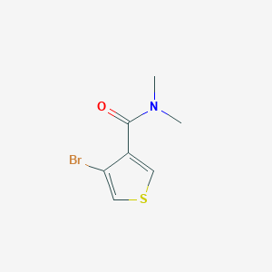 molecular formula C7H8BrNOS B8119952 4-bromo-N,N-dimethylthiophene-3-carboxamide 