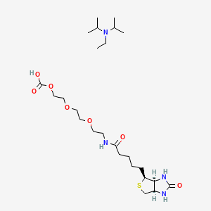 molecular formula C25H48N4O7S B8120399 2-[2-[2-[5-[(3aS,4S,6aR)-2-oxo-1,3,3a,4,6,6a-hexahydrothieno[3,4-d]imidazol-4-yl]pentanoylamino]ethoxy]ethoxy]ethyl hydrogen carbonate;N-ethyl-N-propan-2-ylpropan-2-amine 