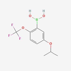 molecular formula C10H12BF3O4 B8120805 (5-Isopropoxy-2-(trifluoromethoxy)phenyl)boronic acid 