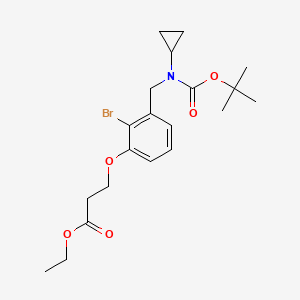 molecular formula C20H28BrNO5 B8121204 3-{2-Bromo-3-[(tert-butoxycarbonyl-cyclopropyl-amino)-methyl]-phenoxy}-propionic acid ethyl ester 