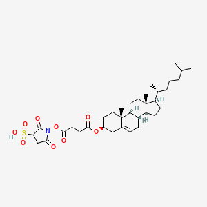 molecular formula C35H53NO9S B8121489 (-)-Cholesterol sulfo-NHS succinate 