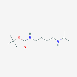 molecular formula C12H26N2O2 B8121699 (4-Isopropylamino-butyl)-carbamic acid tert-butyl ester 