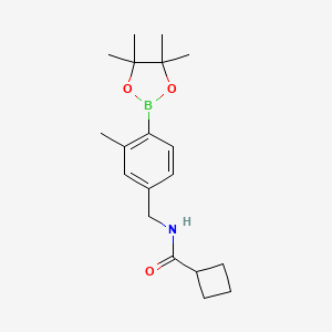 molecular formula C19H28BNO3 B8122445 Cyclobutanecarboxylic acid 3-methyl-4-(4,4,5,5-tetramethyl-[1,3,2]dioxaborolan-2-yl)-benzylamide 