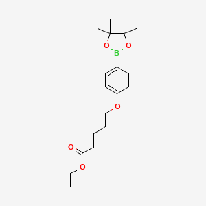 molecular formula C19H29BO5 B8122655 Ethyl 5-(4-(4,4,5,5-tetramethyl-1,3,2-dioxaborolan-2-yl)phenoxy)pentanoate 