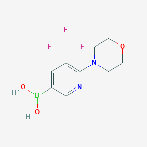 molecular formula C10H12BF3N2O3 B8123028 2-Morpholino-3-(trifluoromethyl)pyridine-5-boronic acid 