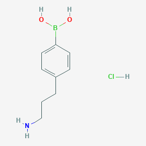 molecular formula C9H15BClNO2 B8123046 [4-(3-Aminopropyl)phenyl]boronic acid hydrochloride 