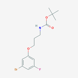 molecular formula C14H19BrFNO3 B8123334 [3-(3-Bromo-5-fluorophenoxy)-propyl]-carbamic acid tert-butyl ester 