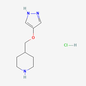 molecular formula C9H16ClN3O B8123529 4-(1H-Pyrazol-4-yloxymethyl)-piperidine hydrochloride 