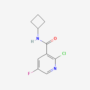 2-Chloro-N-cyclobutyl-5-fluoropyridine-3-carboxamide
