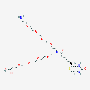 molecular formula C31H58N4O12S B8123711 3-[2-[2-[2-[2-[5-[(3aS,4S,6aR)-2-oxo-1,3,3a,4,6,6a-hexahydrothieno[3,4-d]imidazol-4-yl]pentanoyl-[2-[2-[2-[2-(2-aminoethoxy)ethoxy]ethoxy]ethoxy]ethyl]amino]ethoxy]ethoxy]ethoxy]ethoxy]propanoic acid 