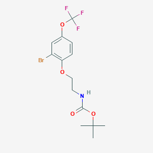 molecular formula C14H17BrF3NO4 B8123837 [2-(2-Bromo-4-trifluoromethoxy-phenoxy)-ethyl]-carbamic acid tert-butyl ester 