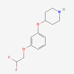 molecular formula C13H17F2NO2 B8123848 4-[3-(2,2-Difluoroethoxy)-phenoxy]-piperidine 