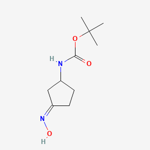 molecular formula C10H18N2O3 B8124148 tert-butyl N-[(3E)-3-hydroxyiminocyclopentyl]carbamate 