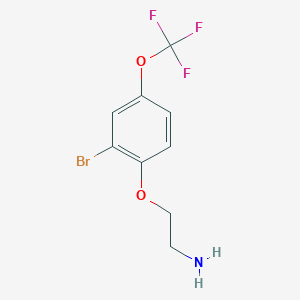 molecular formula C9H9BrF3NO2 B8124166 2-(2-Bromo-4-trifluoromethoxy-phenoxy)-ethylamine 