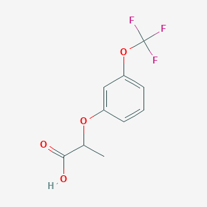 molecular formula C10H9F3O4 B8124407 2-(3-Trifluoromethoxyphenoxy)-propionic acid 