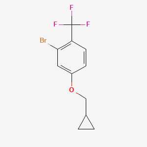 molecular formula C11H10BrF3O B8124451 2-Bromo-4-(cyclopropylmethoxy)-1-(trifluoromethyl)benzene 