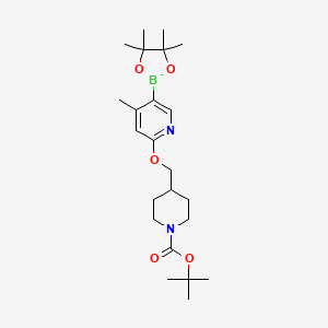 molecular formula C23H37BN2O5 B8124630 4-[4-Methyl-5-(4,4,5,5-tetramethyl-[1,3,2]dioxaborolan-2-yl)-pyridin-2-yloxymethyl]-piperidine-1-carboxylic acid tert-butyl ester 