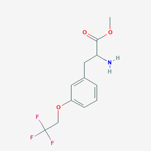 molecular formula C12H14F3NO3 B8124636 Methyl 2-amino-3-(3-(2,2,2-trifluoroethoxy)phenyl)propanoate 