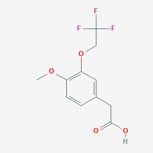 molecular formula C11H11F3O4 B8124678 [4-Methoxy-3-(2,2,2-trifluoro-ethoxy)-phenyl]-acetic acid 