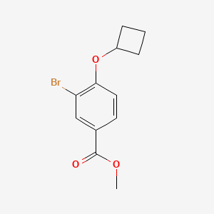 molecular formula C12H13BrO3 B8124708 Methyl 3-Bromo-4-(cyclobutyloxy)benzoate 