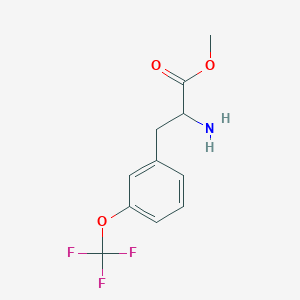 molecular formula C11H12F3NO3 B8124897 Methyl 2-amino-3-(3-(trifluoromethoxy)phenyl)propanoate 