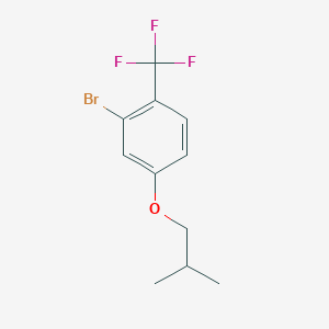 molecular formula C11H12BrF3O B8125599 2-Bromo-4-isobutoxy-1-(trifluoromethyl)benzene 
