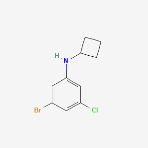 molecular formula C10H11BrClN B8125846 3-Bromo-5-chloro-N-cyclobutylaniline 