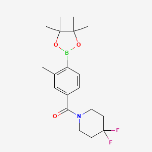 molecular formula C19H26BF2NO3 B8126053 (4,4-Difluoro-piperidin-1-yl)-[3-methyl-4-(4,4,5,5-tetramethyl-[1,3,2]dioxaborolan-2-yl)-phenyl]-methanone 