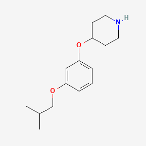 molecular formula C15H23NO2 B8126237 4-(3-Isobutoxyphenoxy)-piperidine 