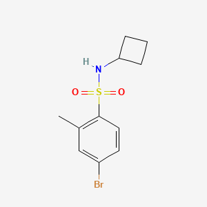 molecular formula C11H14BrNO2S B8126242 4-Bromo-N-cyclobutyl-2-methylbenzenesulfonamide 
