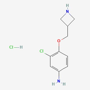 molecular formula C10H14Cl2N2O B8126260 4-(Azetidin-3-ylmethoxy)-3-chloro-phenylamine hydrochloride 