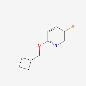 molecular formula C11H14BrNO B8126544 5-Bromo-2-(cyclobutylmethoxy)-4-methylpyridine 