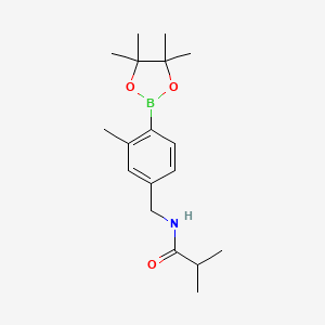molecular formula C18H28BNO3 B8126610 N-[3-Methyl-4-(4,4,5,5-tetramethyl-[1,3,2]dioxaborolan-2-yl)-benzyl]-isobutyramide 