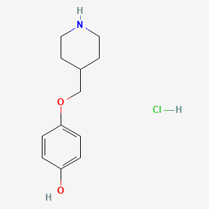 molecular formula C12H18ClNO2 B8126747 4-(Piperidin-4-ylmethoxy)-phenol hydrochloride 