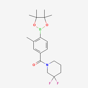 molecular formula C19H26BF2NO3 B8126884 (3,3-Difluoro-piperidin-1-yl)-[3-methyl-4-(4,4,5,5-tetramethyl-[1,3,2]dioxaborolan-2-yl)-phenyl]-methanone 