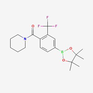 molecular formula C19H25BF3NO3 B8127551 Piperidin-1-yl-[4-(4,4,5,5-tetramethyl-[1,3,2]dioxaborolan-2-yl)-2-trifluoromethylphenyl]-methanone 