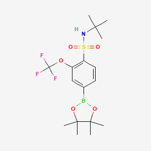 molecular formula C17H25BF3NO5S B8127727 N-tert-Butyl-4-(4,4,5,5-tetramethyl-[1,3,2]dioxaborolan-2-yl)-2-trifluoromethoxybenzenesulfonamide 