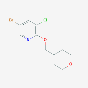 molecular formula C11H13BrClNO2 B8128694 5-Bromo-3-chloro-2-((tetrahydro-2H-pyran-4-yl)methoxy)pyridine 