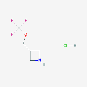 molecular formula C5H9ClF3NO B8128733 3-(Trifluoromethoxymethyl)azetidine hydrochloride 